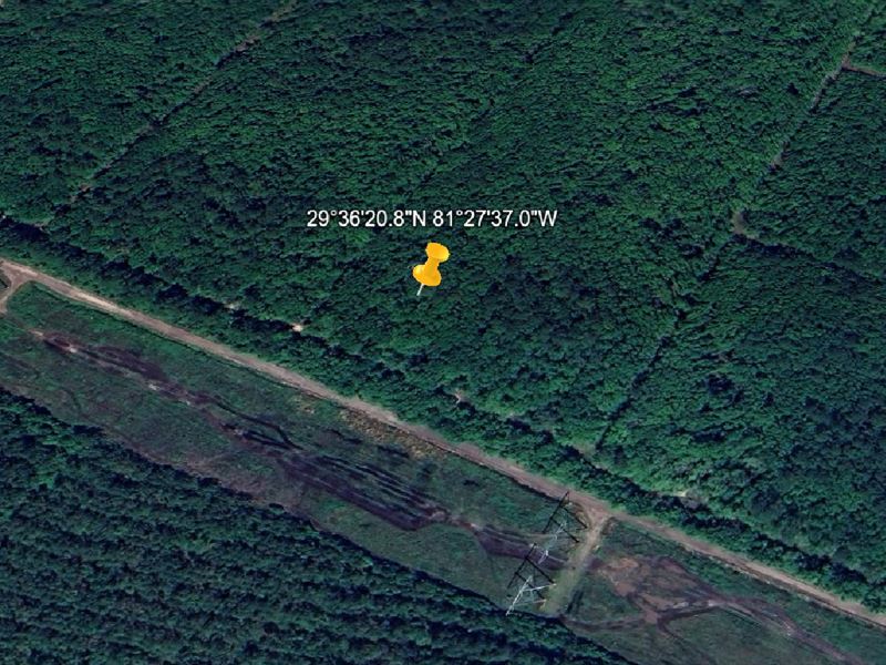 Land Deal Alert, $339/Mo Act Fast : Flagler Estates : Flagler County : Florida