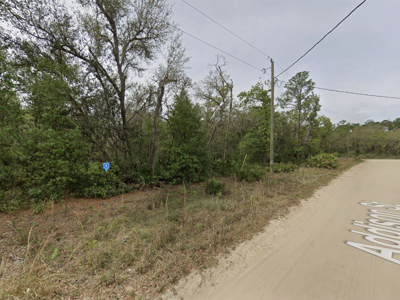 Easy Access to Lakes, $253/Mo : Interlachen : Putnam County : Florida