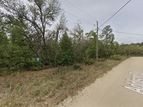 Easy Access to Lakes, $253/Mo : Interlachen : Putnam County : Florida