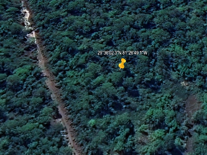 Flagler Estates Lot Yours $249 Down : Hastings : Flagler County : Florida