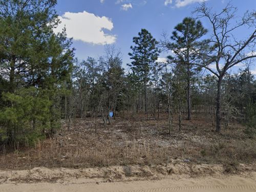 Dream Lot by The Lakes, $196/Mo : Interlachen : Putnam County : Florida