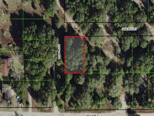 Over A Quarter Acre in Inverness : Inverness : Citrus County : Florida