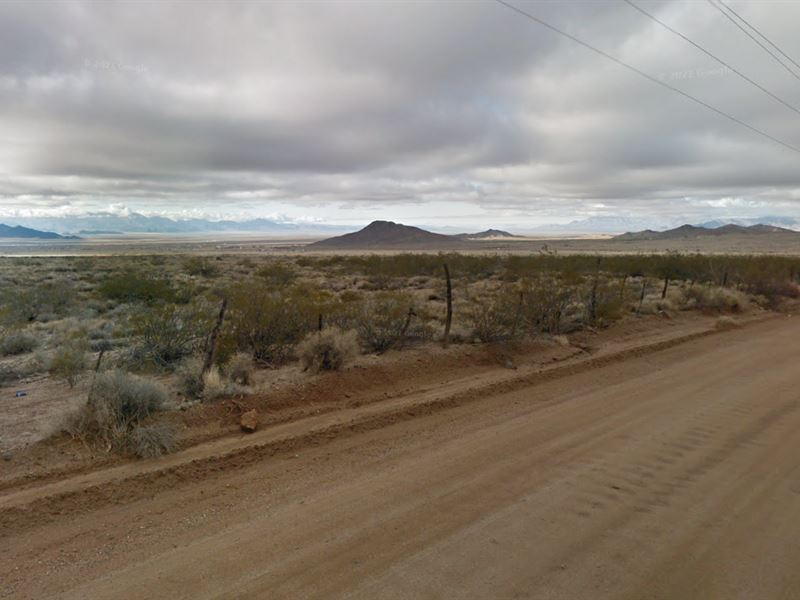 Trade City Stress for Desert Bliss : Kingman : Mohave County : Arizona