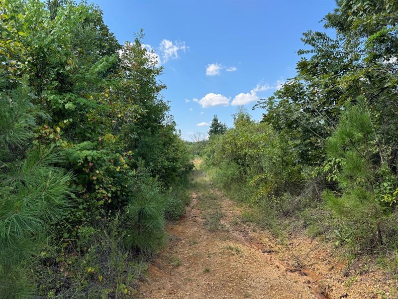 Build Your Dream Home : Brookhaven : Lincoln County : Mississippi