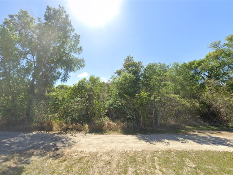 Discover The Charm of Marion County : Fort McCoy : Marion County : Florida