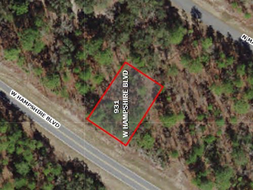 Florida Fun in Citrus Springs : Citrus Springs : Citrus County : Florida