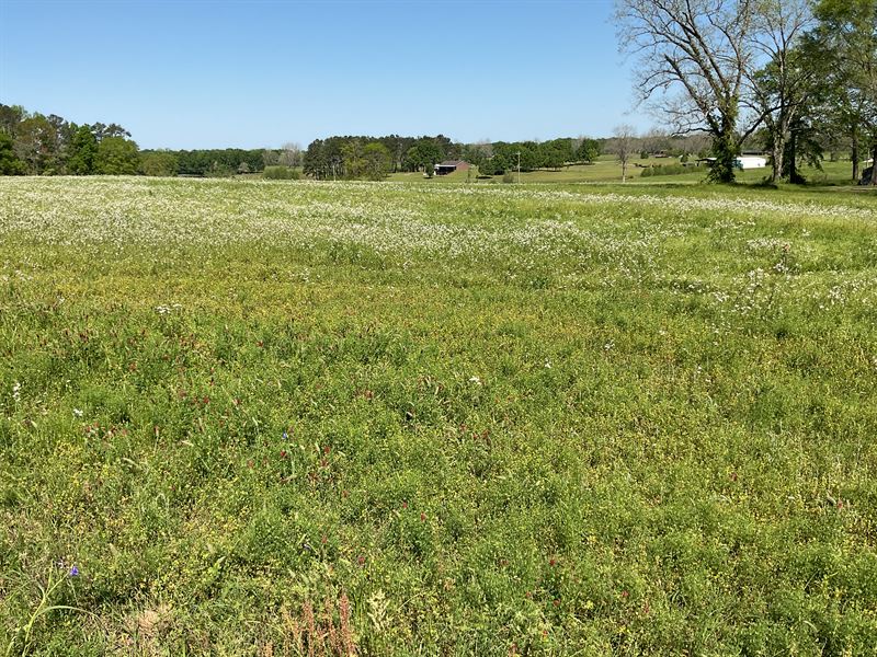 Mount Lee St Property and 13 Acres : Rutledge : Crenshaw County : Alabama