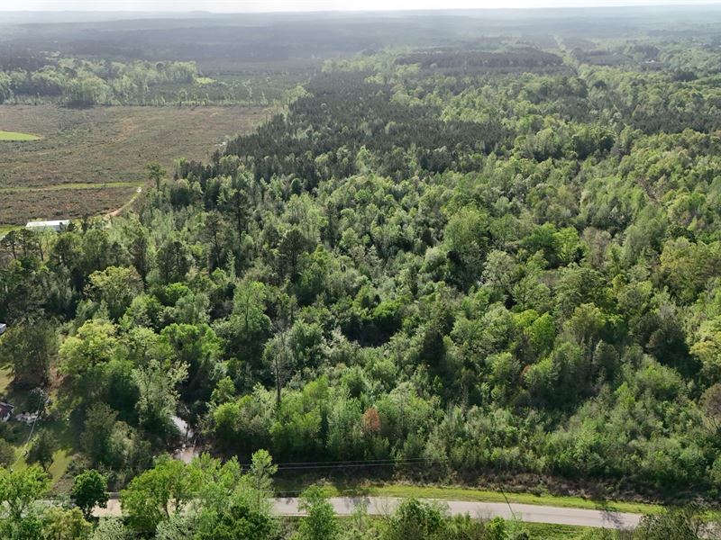 10 Acres in Choctaw County AL : Lisman : Choctaw County : Alabama