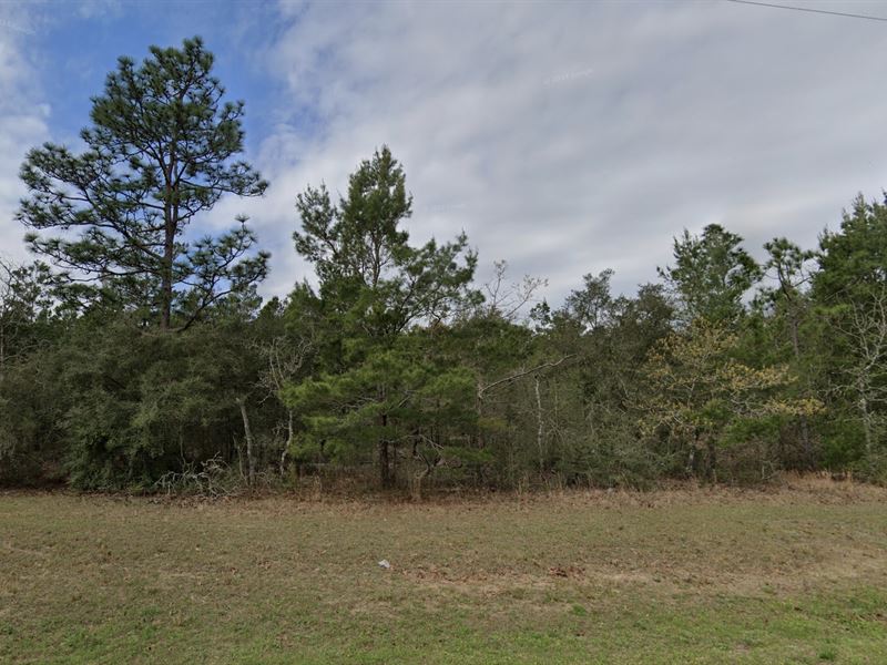 Weekend at Grayton Beach : Defuniak Springs : Walton County : Florida