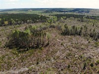 6-006 Sardis Church Rd 78 : Eufaula : Barbour County : Alabama