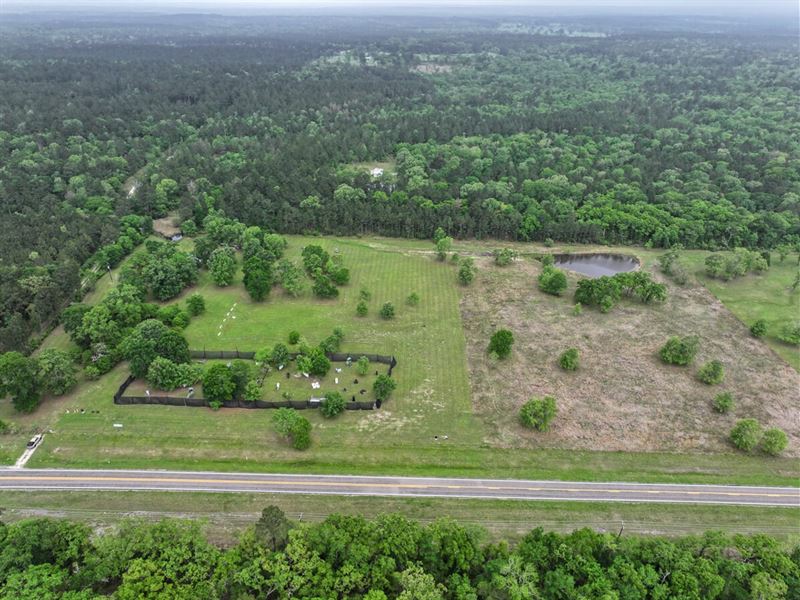 14 Acres, FM 980 : Huntsville : San Jacinto County : Texas