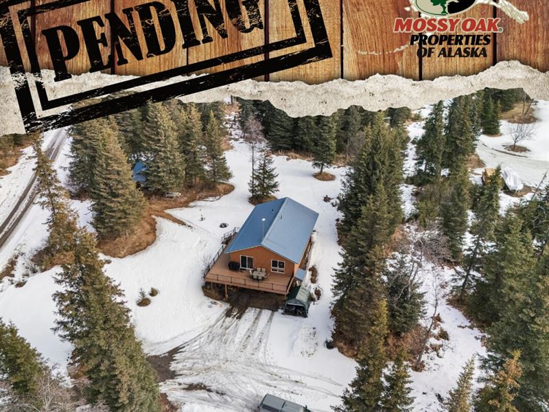 67255 Kiana Dr : Ninilchik : Kenai Peninsula Borough : Alaska