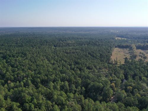 Trinity Lady Park 2 : Trinity : Texas