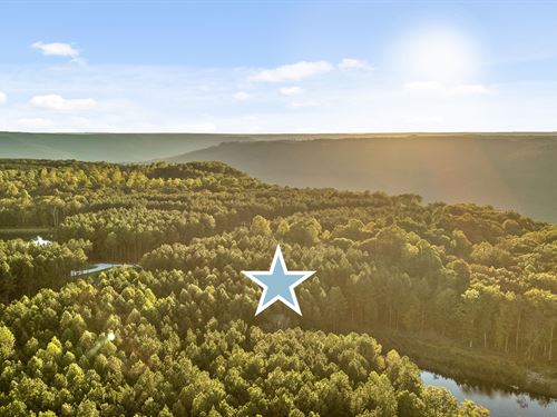 Elite Homesite, Jasper Highlands : Jasper : Marion County : Tennessee