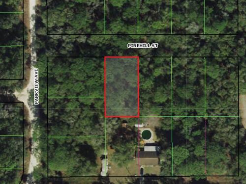 .23 Acres in Inverness Await You : Inverness : Citrus County : Florida