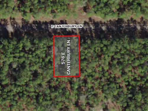 .23 Acres in Citrus Springs : Citrus Springs : Citrus County : Florida