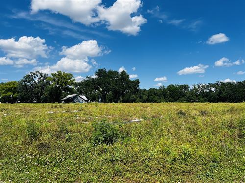 Plant City East Trapnell Transition : Plant City : Hillsborough County : Florida