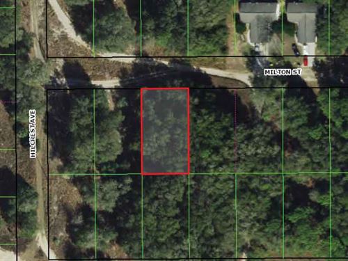 Affordable Citrus County Lot : Inverness : Citrus County : Florida