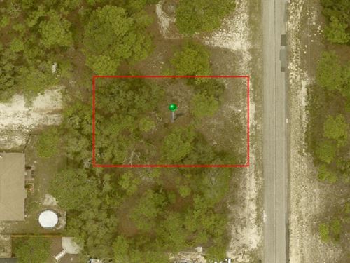 Florida Lot in Sunny Citrus Springs : Citrus Springs : Citrus County : Florida