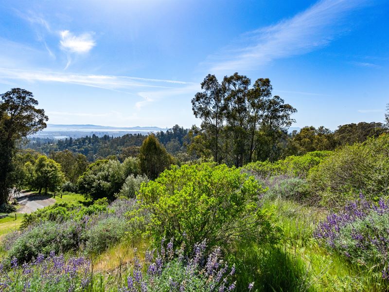 Priced Well Below Appraised Value : Oakland : Alameda County : California