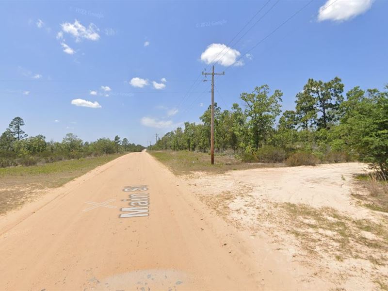 Land You Can Afford : Hawthorne : Putnam County : Florida