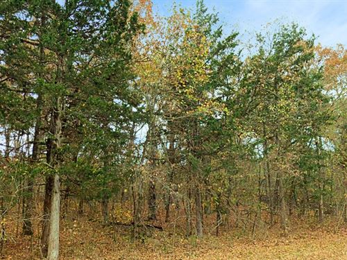 Ozarks in Boone County, AR : Diamond City : Boone County : Arkansas