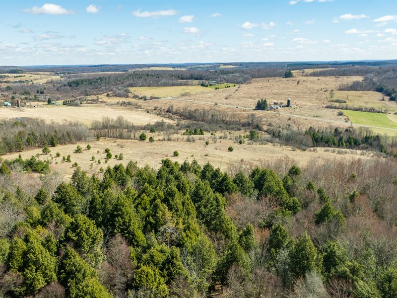 Pristine Country Land : Triangle : Broome County : New York