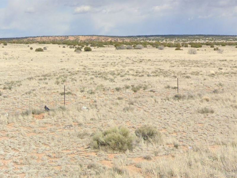 2.53 Acres for Only $150 : Chambers : Apache County : Arizona