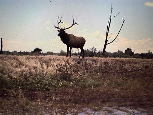 Majectic Elk Ranch : Hesperus : La Plata County : Colorado