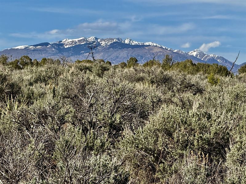 Deer Run Ranch : Hesperus : La Plata County : Colorado