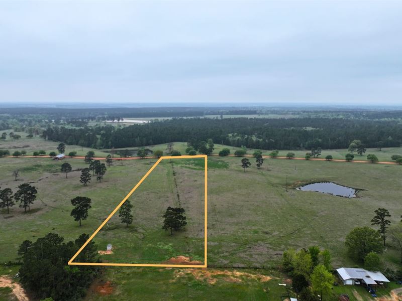 5 Acres, Lakeland Road : Hillister : Tyler County : Texas