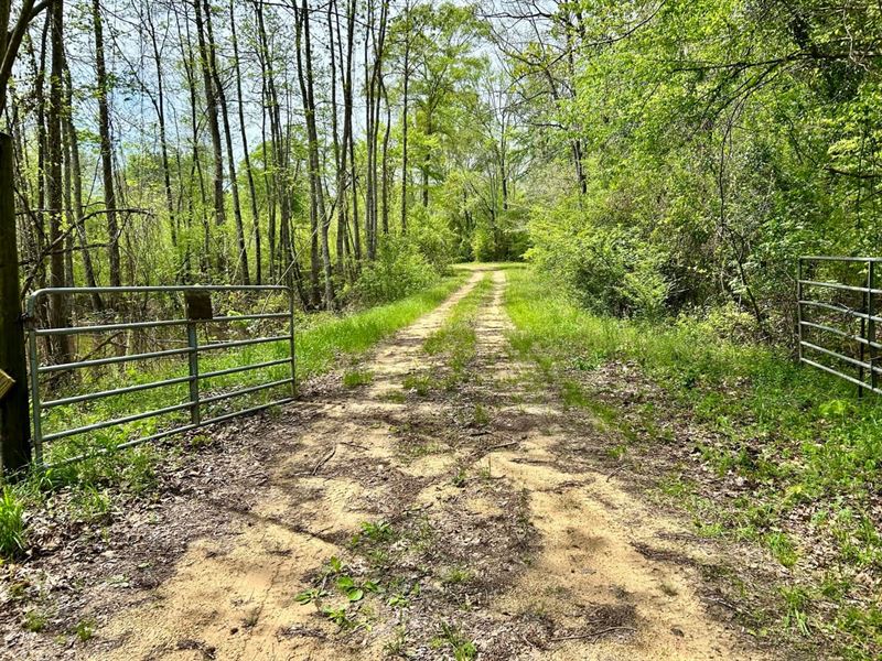 106 McShan/Ethelsville in Picke : Ethelsville : Pickens County : Alabama