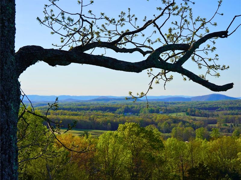 Blue Ridge Backdrop 19 Acres WI : Henry : Franklin County : Virginia