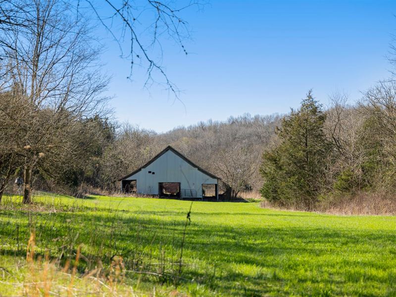 251 Acres of Prime Recreational Pro : Cornersville : Marshall County : Tennessee