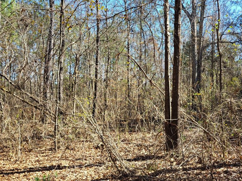 Talladega County Mini Farm 7.8 Acre : Talladega : Talladega County : Alabama