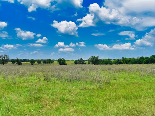 1.01 Acres in Caldwell County, TX : Luling : Caldwell County : Texas