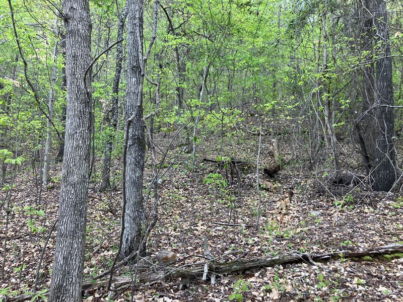 Anniston Tract : Anniston : Calhoun County : Alabama