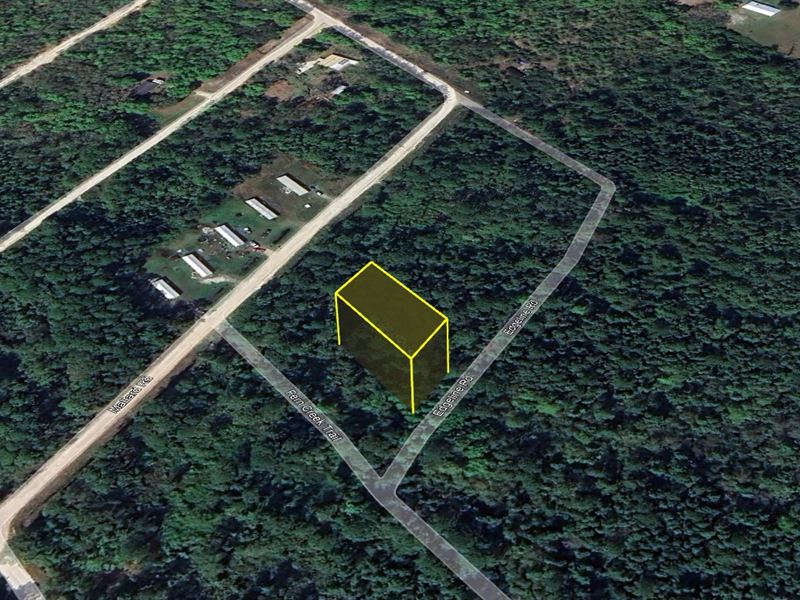 Zoned R-2 Hot Deal $199 Down : Satsuma : Putnam County : Florida