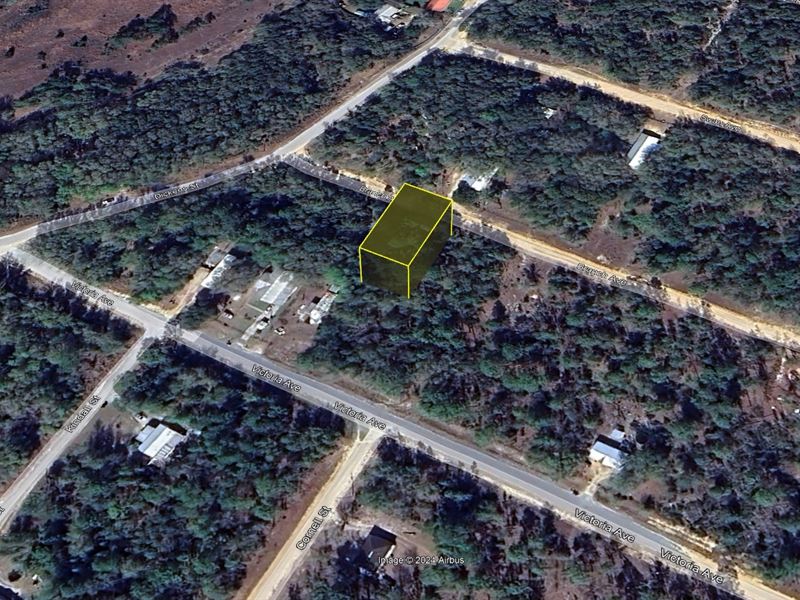 FL Blank Canvas Yours at $182/Mo : Interlachen : Putnam County : Florida