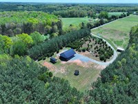Southern Virginia Sanctuary 76 : Nathalie : Halifax County : Virginia