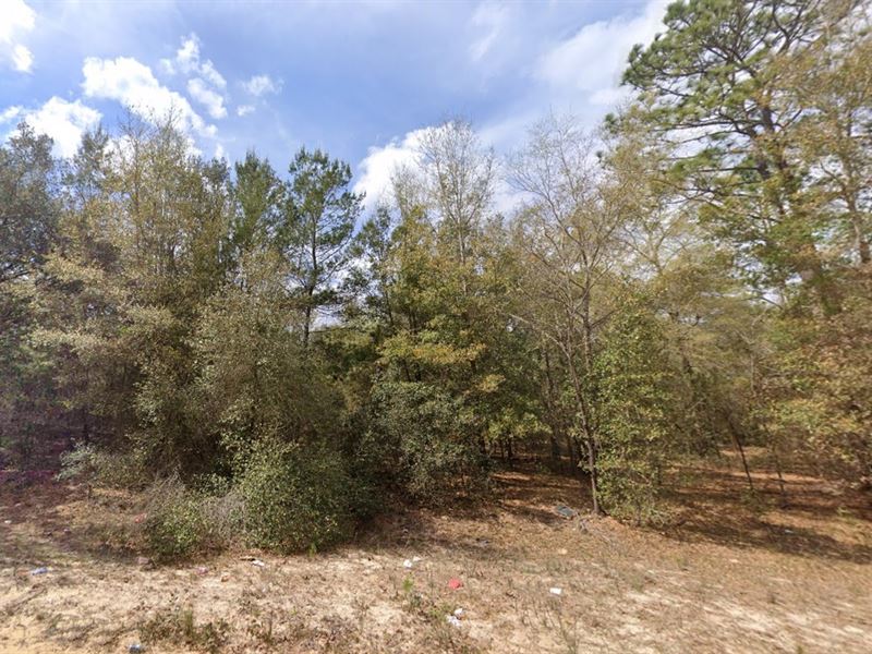 Double Lot Potential at $149 Down : Interlachen : Putnam County : Florida
