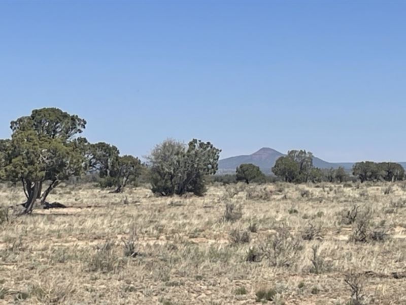 1.1 Acres in Coconino County : Williams : Coconino County : Arizona