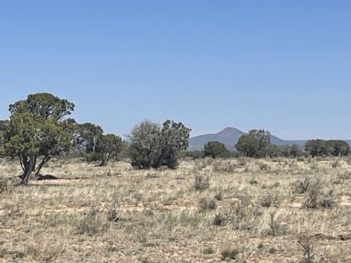 1.1 Acres in Coconino County : Williams : Coconino County : Arizona