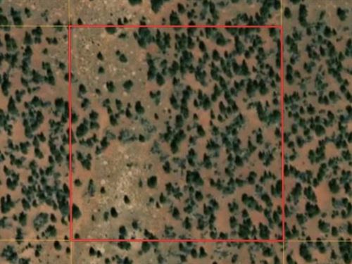 A Perfect Parcel for Privacy : Williams : Coconino County : Arizona
