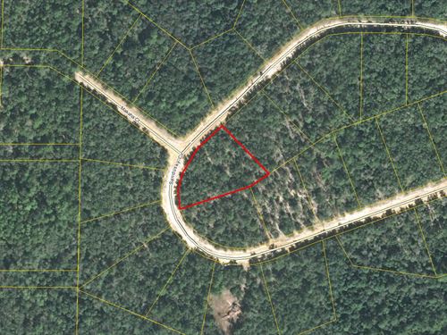 1.24 Acres Await in Compass Lakes : Alford : Jackson County : Florida