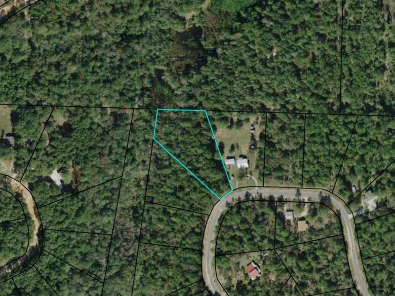 1.6 Acre Lake Community Lot : Alford : Jackson County : Florida