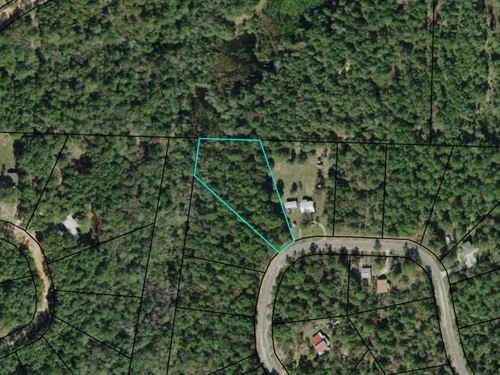 1.6 Acre Lake Community Lot : Alford : Jackson County : Florida