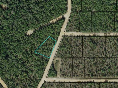 Affordable Acre + Near Lakes : Alford : Jackson County : Florida