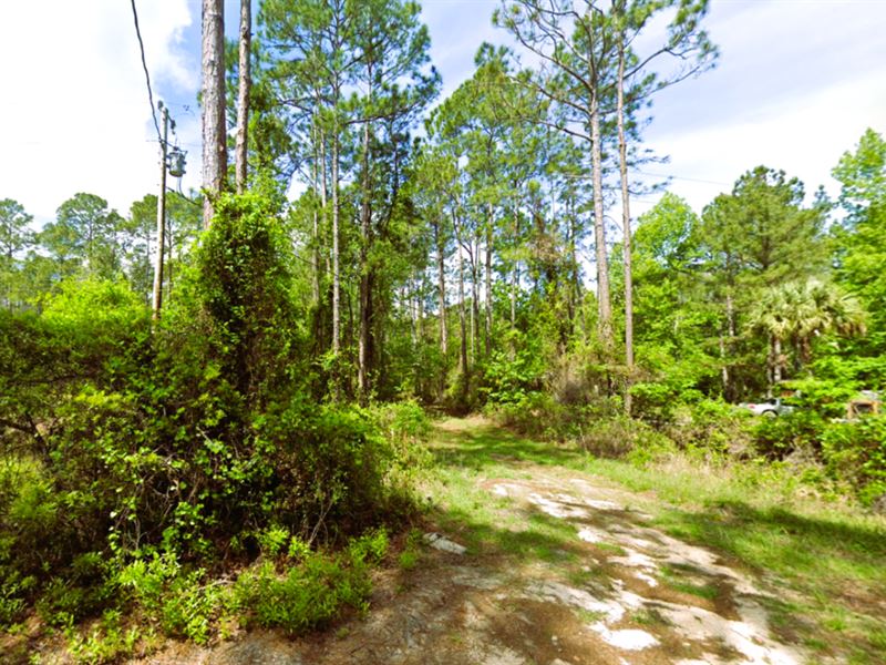 1 Acre for Your Farming Dreams : Interlachen : Putnam County : Florida