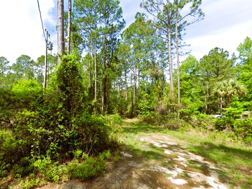 1 Acre for Your Agricultural Dreams : Interlachen : Putnam County : Florida